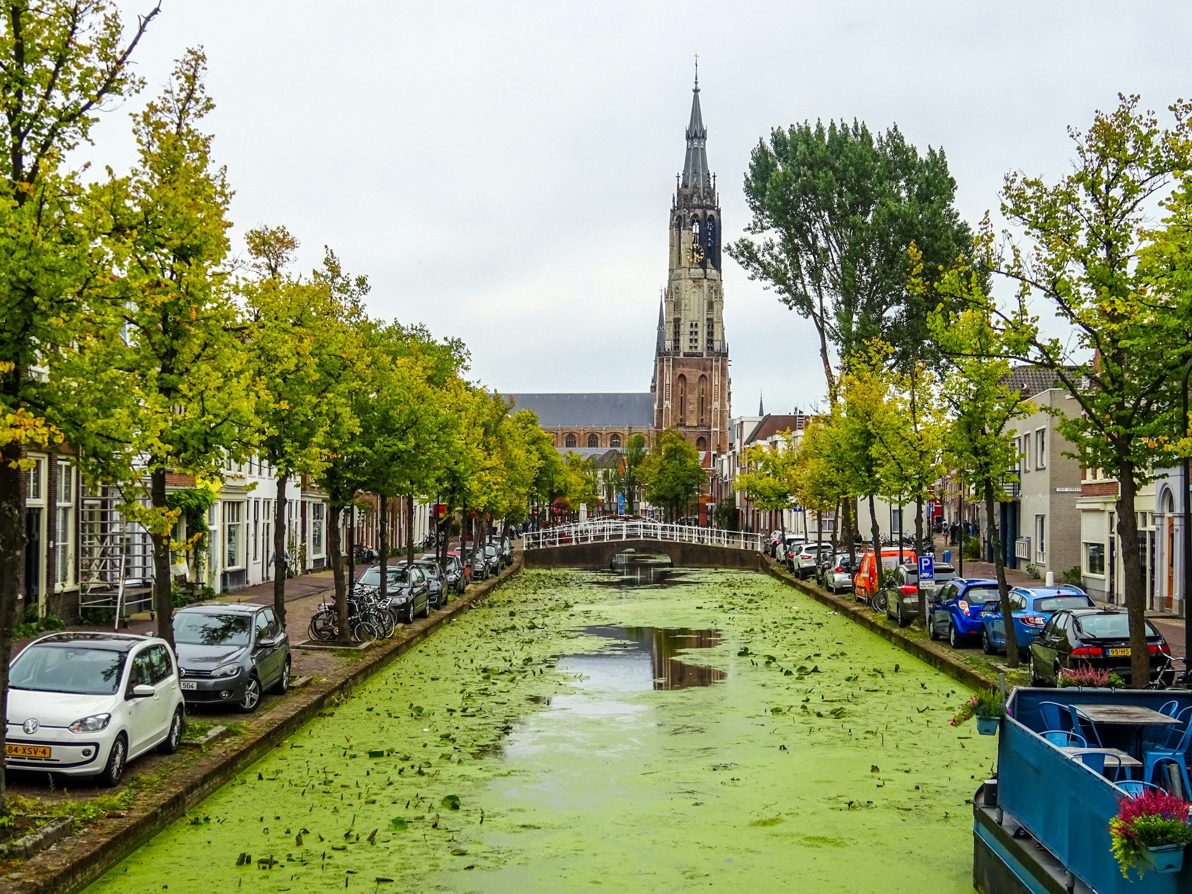 Gracht in Delft met bomen en de toren van de Nieuwe Kerk